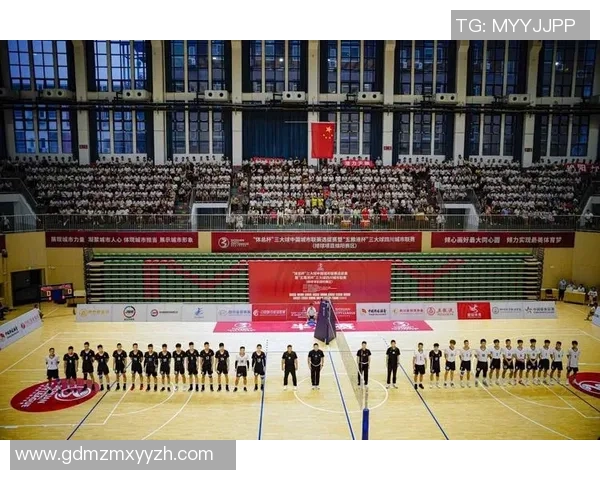 成都排球队与武汉排球队赛后战术分析及关键表现总结